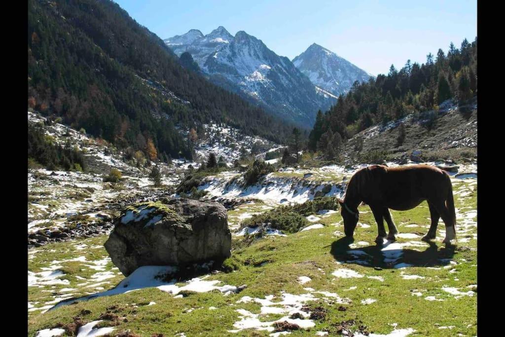 Chaleureux Studio Familal "Lougrand Iii" Cauterets Dış mekan fotoğraf