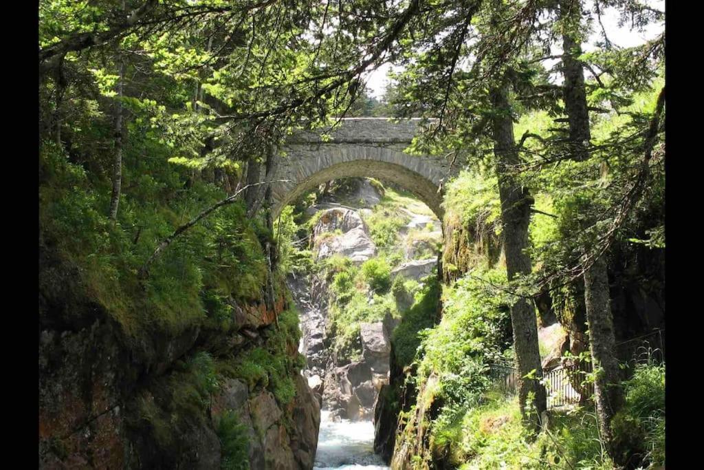 Chaleureux Studio Familal "Lougrand Iii" Cauterets Dış mekan fotoğraf